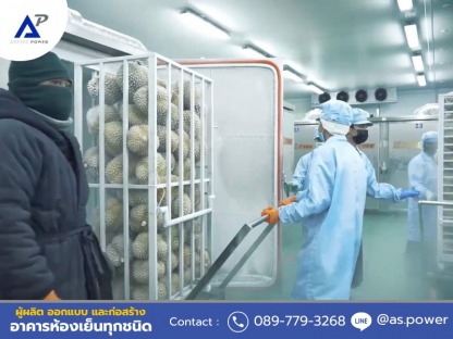 Freezer room นนทบุรี - ให้เช่าและขายตู้คอนเทนเนอร์ห้องเย็น นนทบุรี 