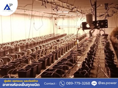 รับสร้างห้องเพาะกัญชา - ให้เช่าและขายตู้คอนเทนเนอร์ห้องเย็น นนทบุรี 