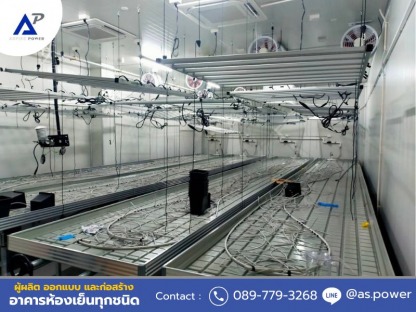 รับสร้างห้องเย็นกัญชา - ให้เช่าและขายตู้คอนเทนเนอร์ห้องเย็น นนทบุรี 