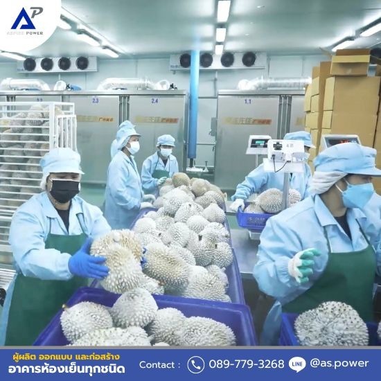 ให้เช่าและขายตู้คอนเทนเนอร์ห้องเย็น นนทบุรี  - Freezer Room ห้องแช่แข็ง